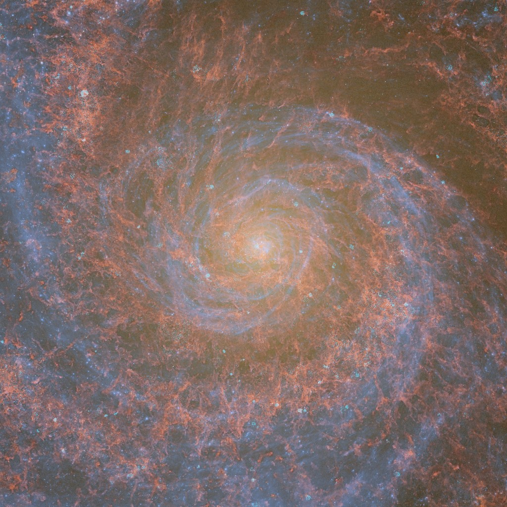 Milky Way-mass simulation resolved into individual stellar populations